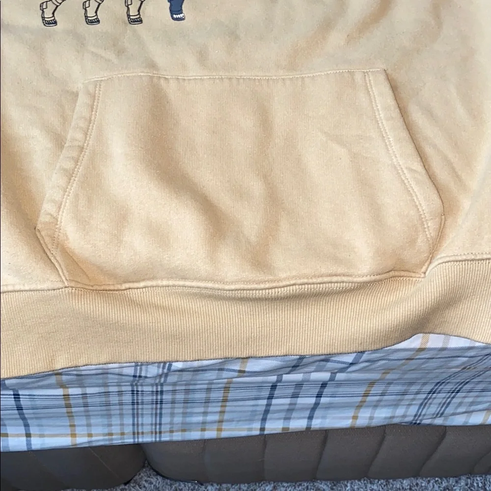 Zara Tan Graphic Hoodie